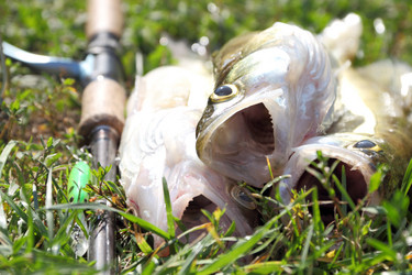 Similar image 774747