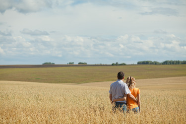 Similar image 774753