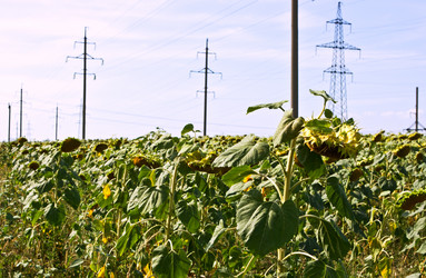 Similar image 774963