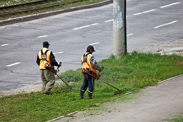 Similar image 774985