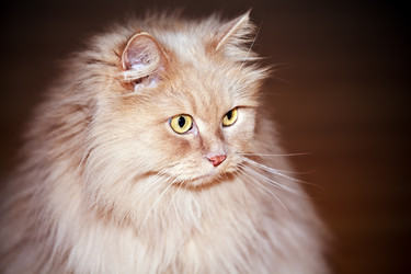 Similar image 774987