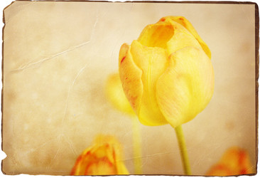 Similar image 774993