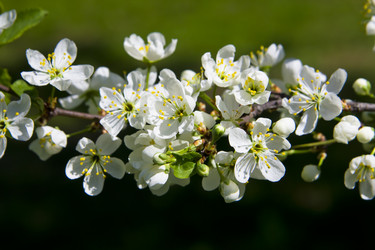 Similar image 775029