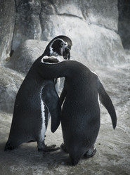 Similar image 775034