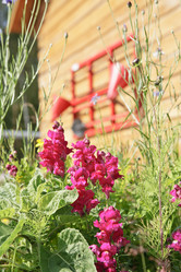 Similar image 775050