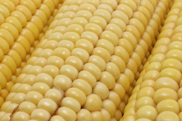 Similar image 775074