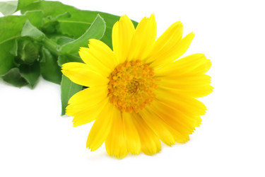 Similar image 775109