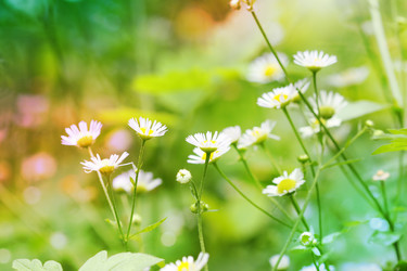 Similar image 775144