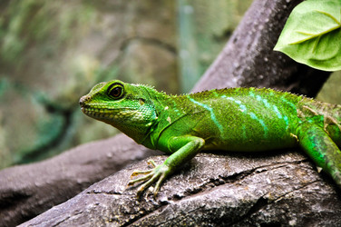 Similar image 775161