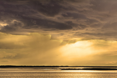 Similar image 775174