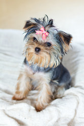 Similar image 775188