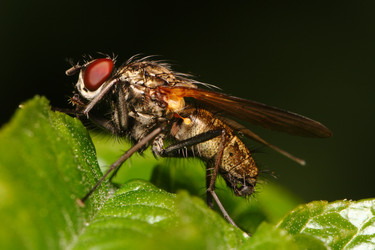 Similar image 775189