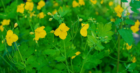 Similar image 775214