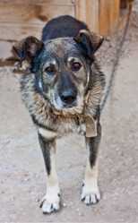 Similar image 775224