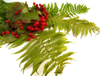 Similar image 775228