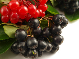 Similar image 775231