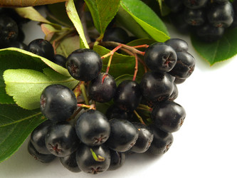 Similar image 775234