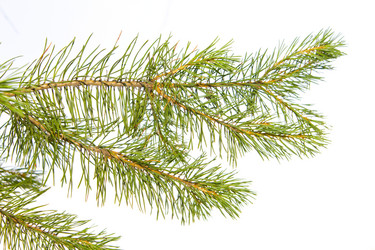 Similar image 775334