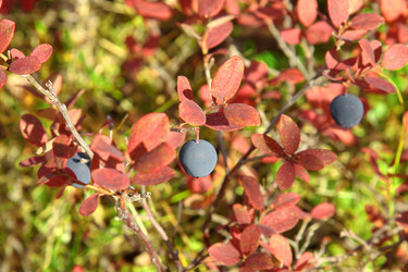 Similar image 775541