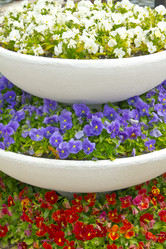 Similar image 775573