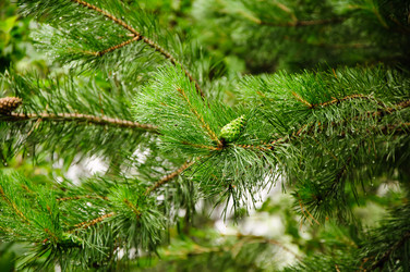 Similar image 775591