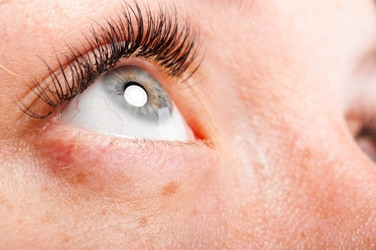 Similar image 775627