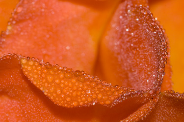 Similar image 775629