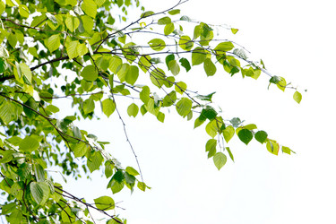 Similar image 775639