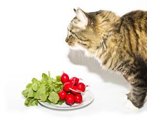 Similar image 775658