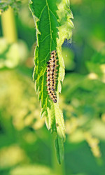 Similar image 775661