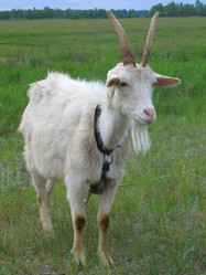 Similar image 775668