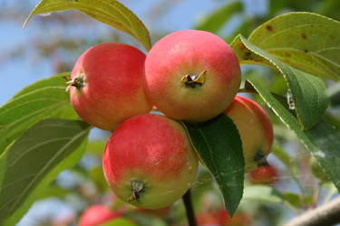 Similar image 775745