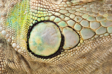 Similar image 775795