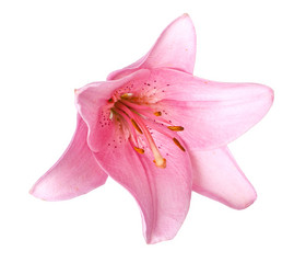 Similar image 775805