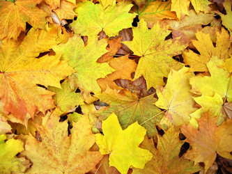 Similar image 775809