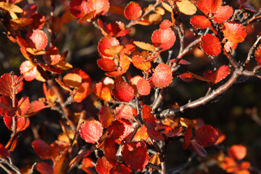 Similar image 775835