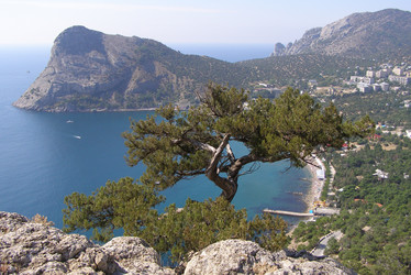 Similar image 775858