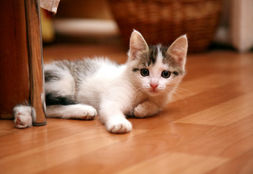 Similar image 775918