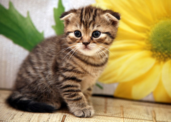 Similar image 775921