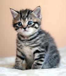 Similar image 775922