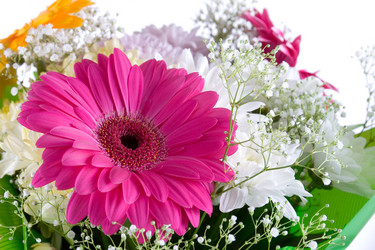 Similar image 775926