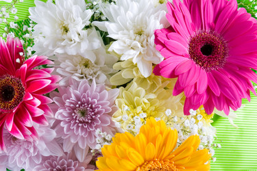 Similar image 775927