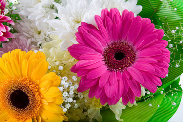 Similar image 775928