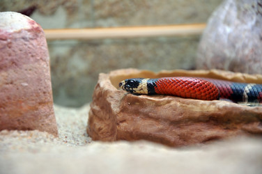 Similar image 776004