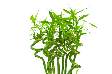 Similar image 776139