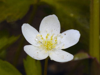 Similar image 776143