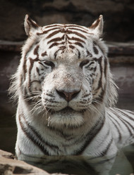 Similar image 776153