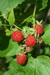 Similar image 776155