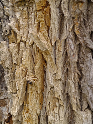 Similar image 776159