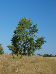 Similar image 776275